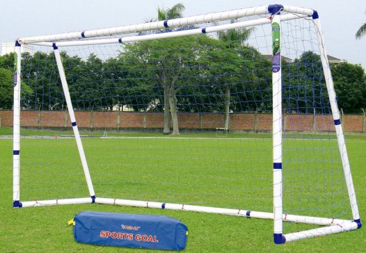 goal12.jpg