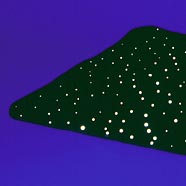 Star carpet