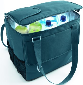 Waeco mobicool S32 12v Cool Bag