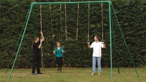 Giant adult swing