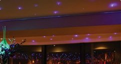 Purple starlights in a function room