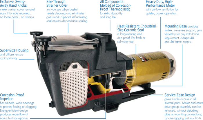 Hayward Super pump swimming pool pumps diagram 